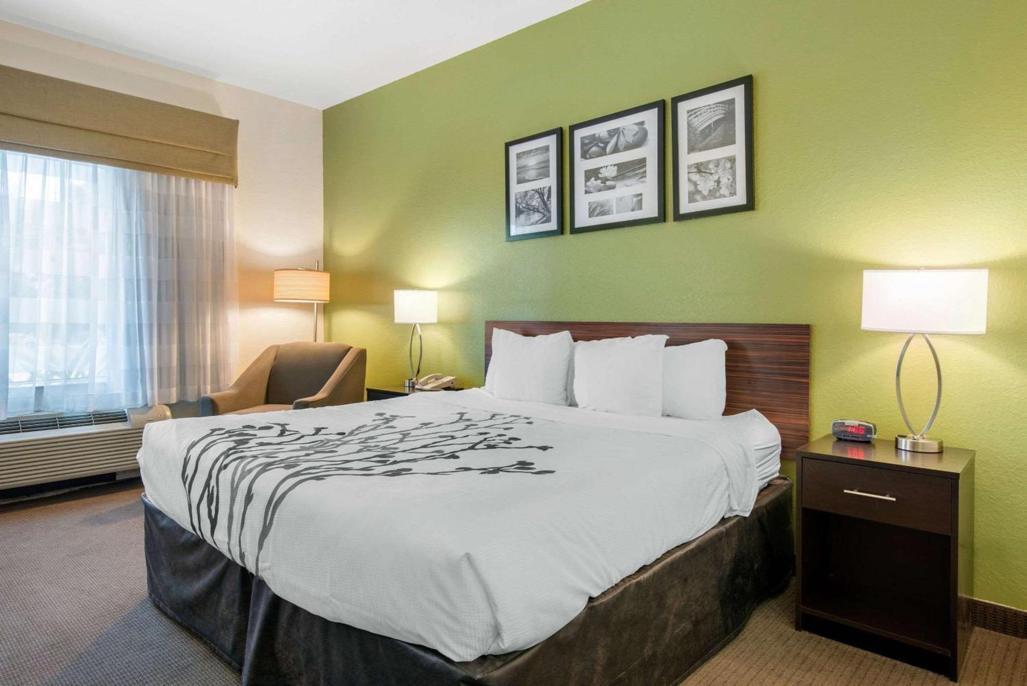 Sleep Inn&Suites Port Charlotte-Punta Gorda Buitenkant foto